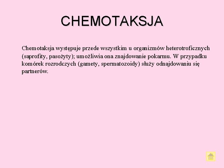 CHEMOTAKSJA Chemotaksja występuje przede wszystkim u organizmów heterotroficznych (saprofity, pasożyty); umożliwia ona znajdowanie pokarmu.