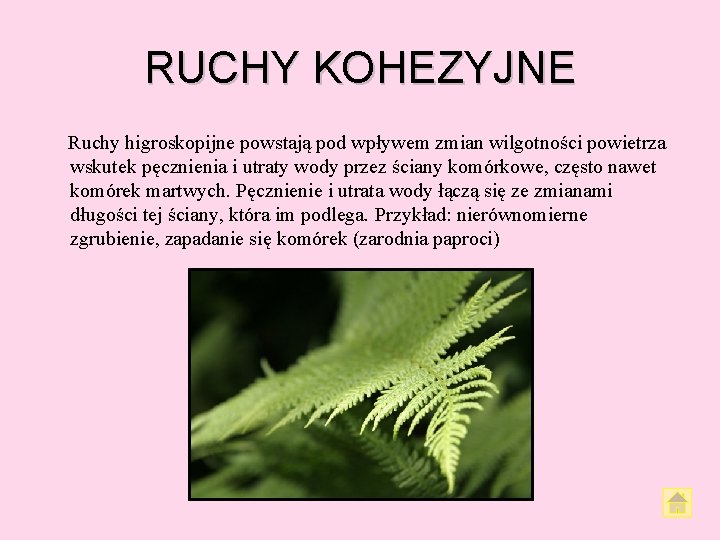 RUCHY KOHEZYJNE Ruchy higroskopijne powstają pod wpływem zmian wilgotności powietrza wskutek pęcznienia i utraty RUCHY KOHEZYJNE Ruchy higroskopijne powstają pod wpływem zmian wilgotności powietrza wskutek pęcznienia i utraty