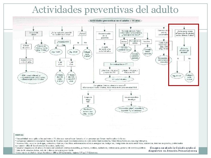 Actividades preventivas del adulto (Imagen sacada de la Guía de ayuda al diagnóstico en Actividades preventivas del adulto (Imagen sacada de la Guía de ayuda al diagnóstico en