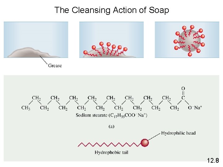 The Cleansing Action of Soap 12. 8 