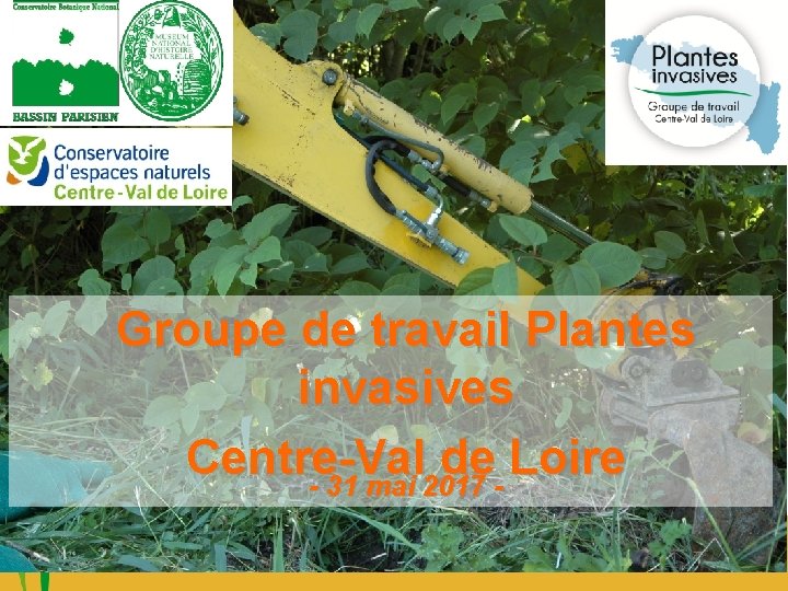 Groupe de travail Plantes invasives Centre-Val de Loire - 31 mai 2017 - 