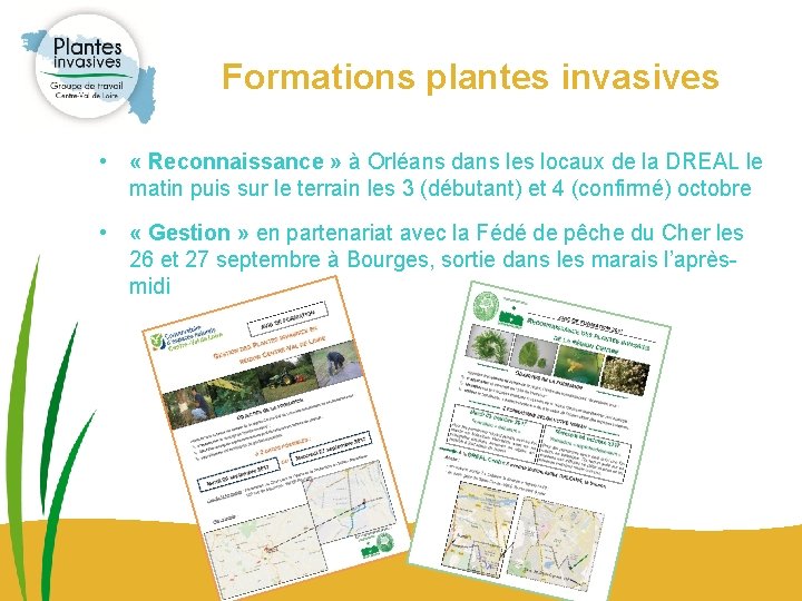 Formations plantes invasives • « Reconnaissance » à Orléans dans les locaux de la