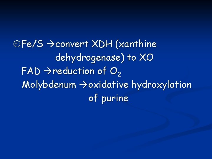  Fe/S convert XDH (xanthine dehydrogenase) to XO FAD reduction of O 2 Molybdenum