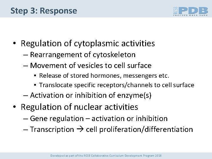 Step 3: Response • Regulation of cytoplasmic activities – Rearrangement of cytoskeleton – Movement