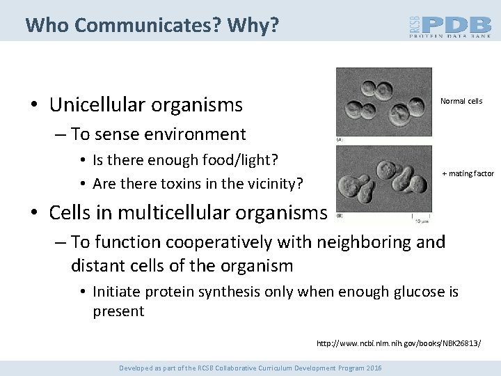 Who Communicates? Why? • Unicellular organisms Normal cells – To sense environment • Is