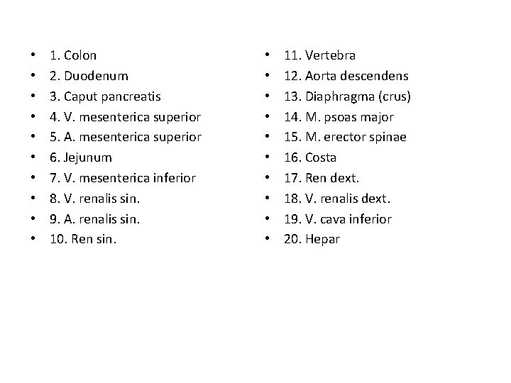 • • • 1. Colon 2. Duodenum 3. Caput pancreatis 4. V. mesenterica • • • 1. Colon 2. Duodenum 3. Caput pancreatis 4. V. mesenterica