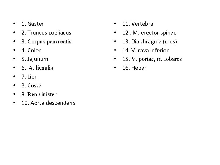 • • • 1. Gaster 2. Truncus coeliacus 3. Corpus pancreatis 4. Colon • • • 1. Gaster 2. Truncus coeliacus 3. Corpus pancreatis 4. Colon