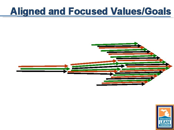 Aligned and Focused Values/Goals 