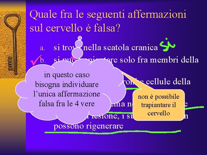 Quale fra le seguenti affermazioni sul cervello è falsa? a. si trova nella scatola
