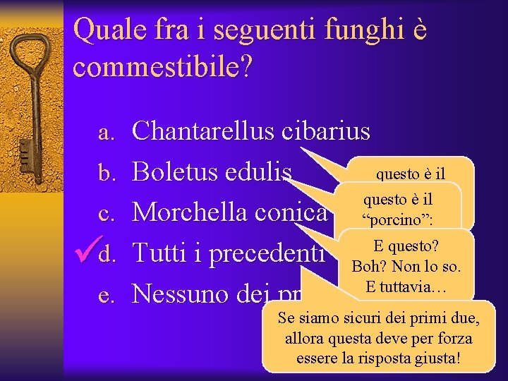 Quale fra i seguenti funghi è commestibile? a. Chantarellus cibarius b. Boletus edulis c.