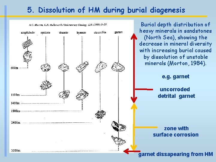 5. Dissolution of HM during burial diagenesis Burial depth distribution of heavy minerals in