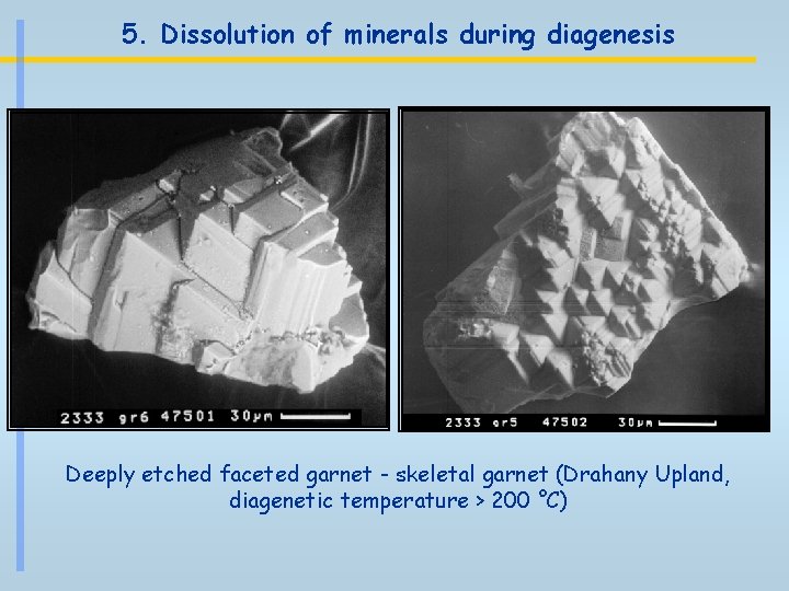 5. Dissolution of minerals during diagenesis Deeply etched faceted garnet - skeletal garnet (Drahany