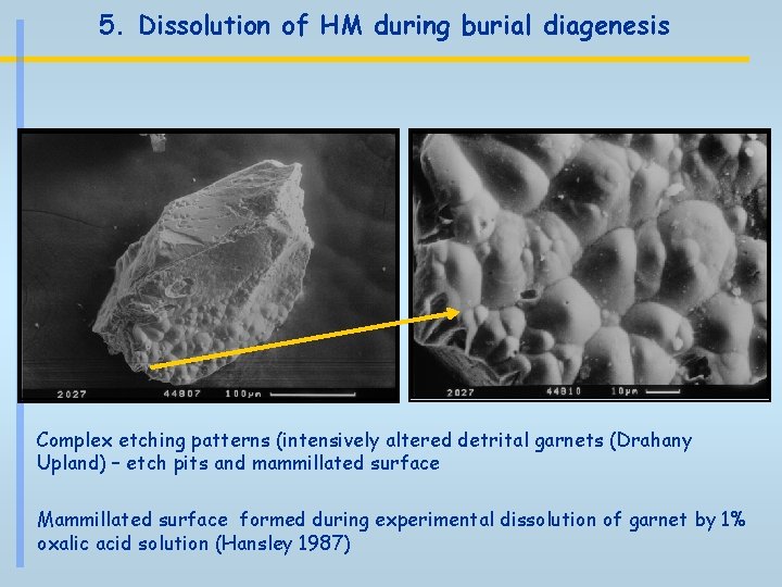 5. Dissolution of HM during burial diagenesis Complex etching patterns (intensively altered detrital garnets