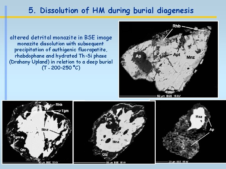 5. Dissolution of HM during burial diagenesis altered detrital monazite in BSE image monazite