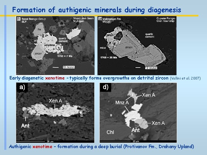 Formation of authigenic minerals during diagenesis Early diagenetic xenotime – typically forms overgrowths on