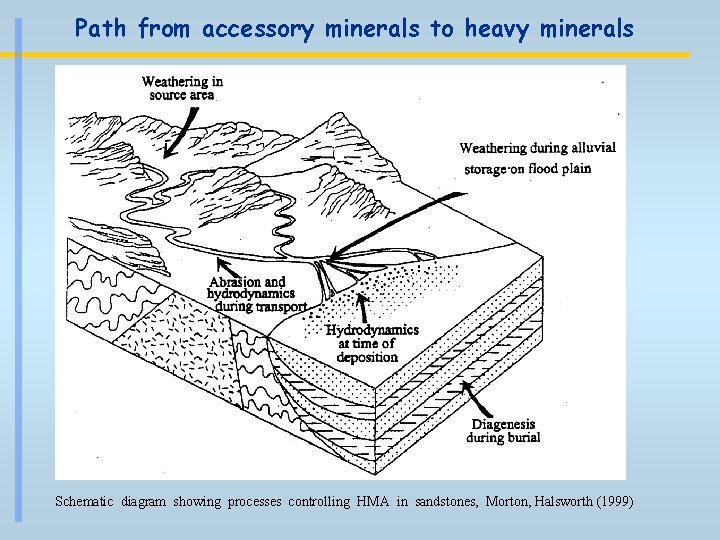 Path from accessory minerals to heavy minerals Schematic diagram showing processes controlling HMA in