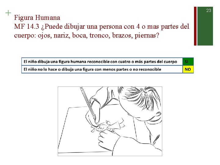 + Figura Humana MF 14. 3 ¿Puede dibujar una persona con 4 o mas