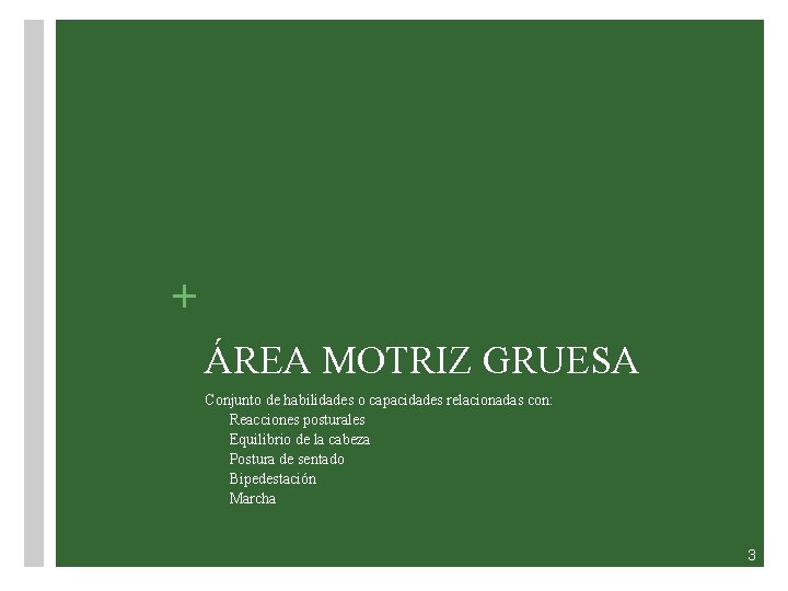 + ÁREA MOTRIZ GRUESA Conjunto de habilidades o capacidades relacionadas con: Reacciones posturales Equilibrio