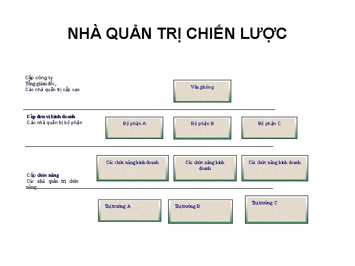 NHÀ QUẢN TRỊ CHIẾN LƯỢC Cấp công ty Tổng giám đốc, Các nhà quản