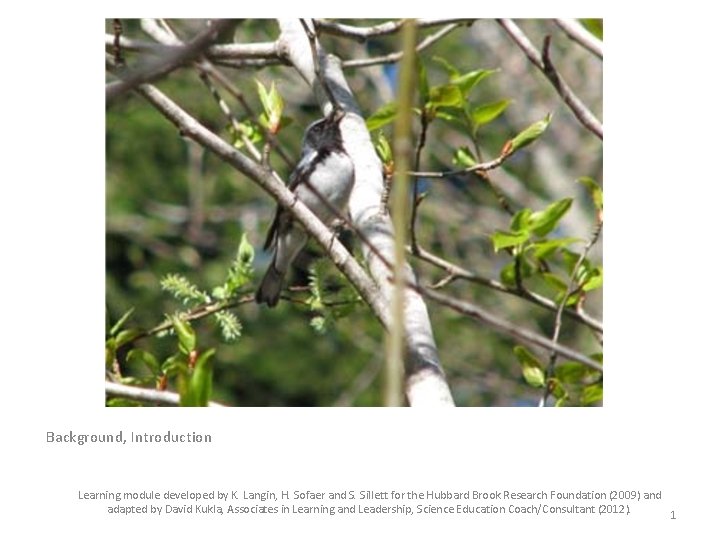 Background, Introduction Learning module developed by K. Langin, H. Sofaer and S. Sillett for