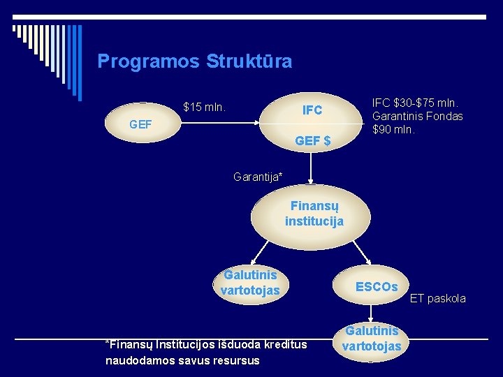 Programos Struktūra $15 mln. IFC $30 -$75 mln. Garantinis Fondas $90 mln. IFC GEF