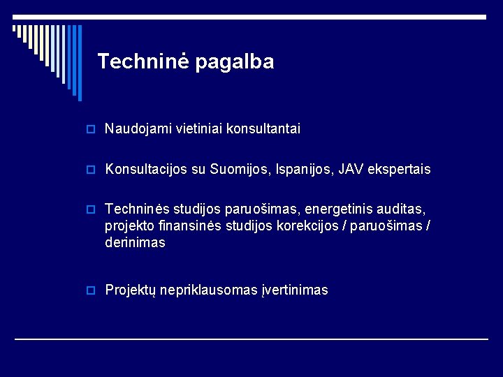 Techninė pagalba o Naudojami vietiniai konsultantai o Konsultacijos su Suomijos, Ispanijos, JAV ekspertais o