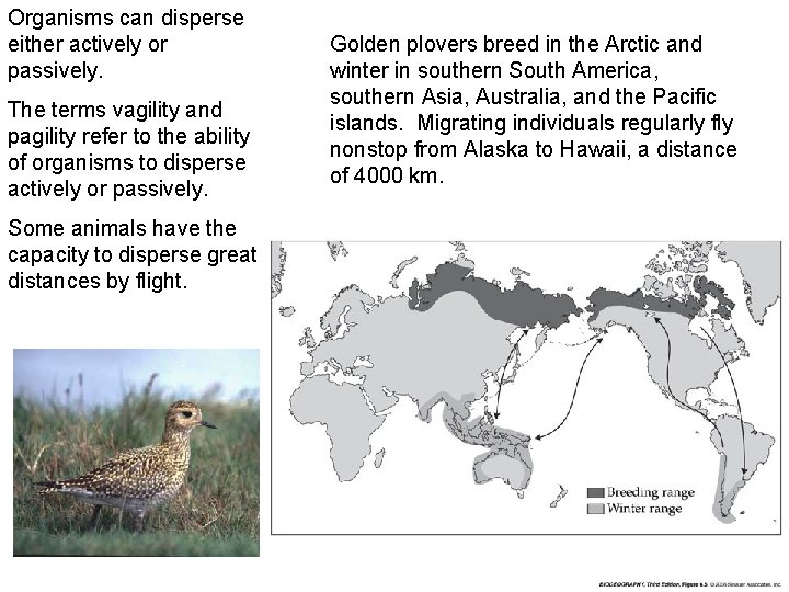 Organisms can disperse either actively or passively. The terms vagility and pagility refer to