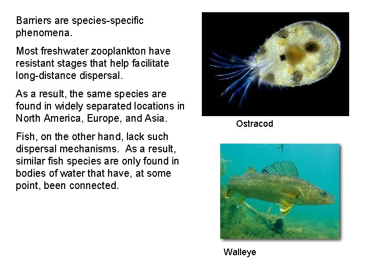 Barriers are species-specific phenomena. Most freshwater zooplankton have resistant stages that help facilitate long-distance