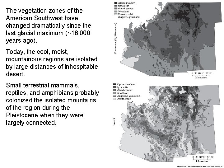 The vegetation zones of the American Southwest have changed dramatically since the last glacial