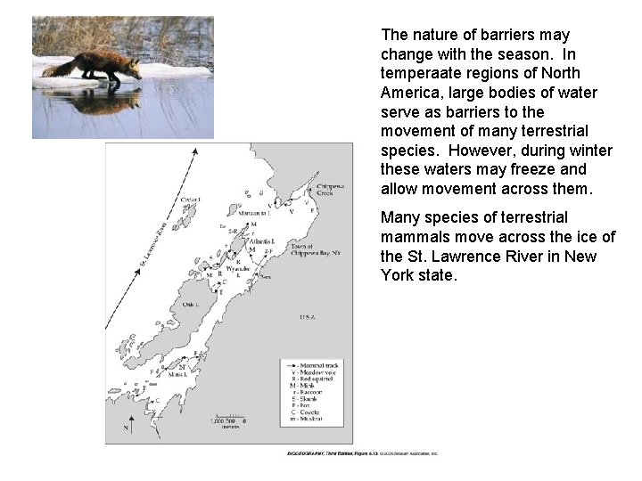 The nature of barriers may change with the season. In temperaate regions of North