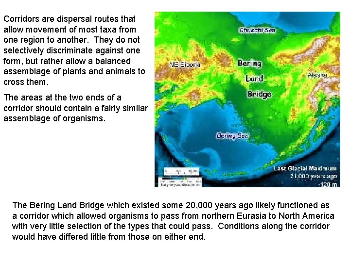 Corridors are dispersal routes that allow movement of most taxa from one region to
