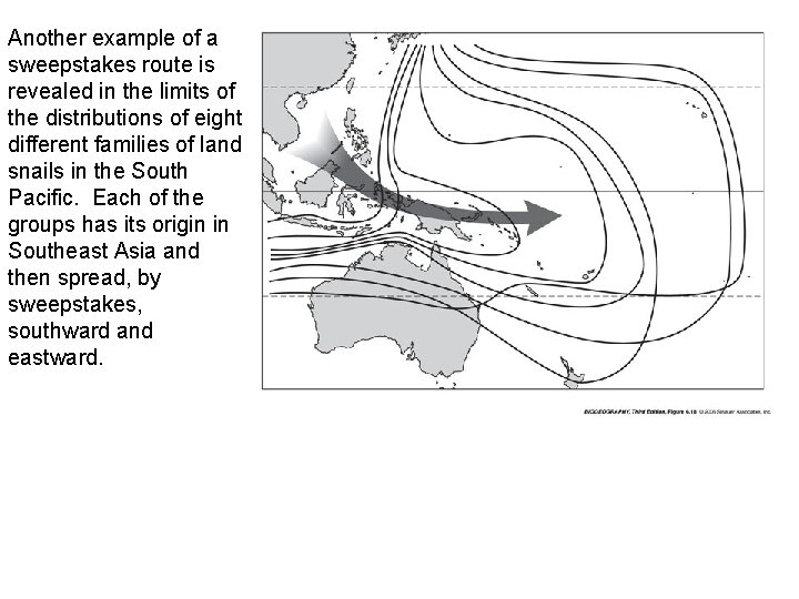 Another example of a sweepstakes route is revealed in the limits of the distributions