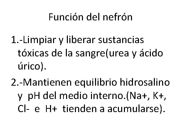 Función del nefrón 1. -Limpiar y liberar sustancias tóxicas de la sangre(urea y ácido