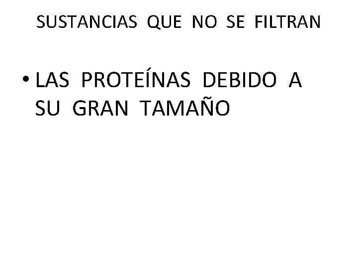 SUSTANCIAS QUE NO SE FILTRAN • LAS PROTEÍNAS DEBIDO A SU GRAN TAMAÑO 