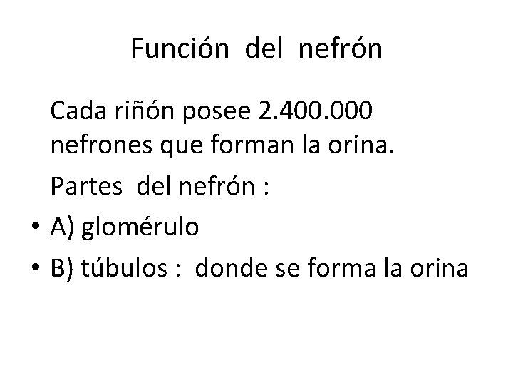 Función del nefrón Cada riñón posee 2. 400. 000 nefrones que forman la orina.