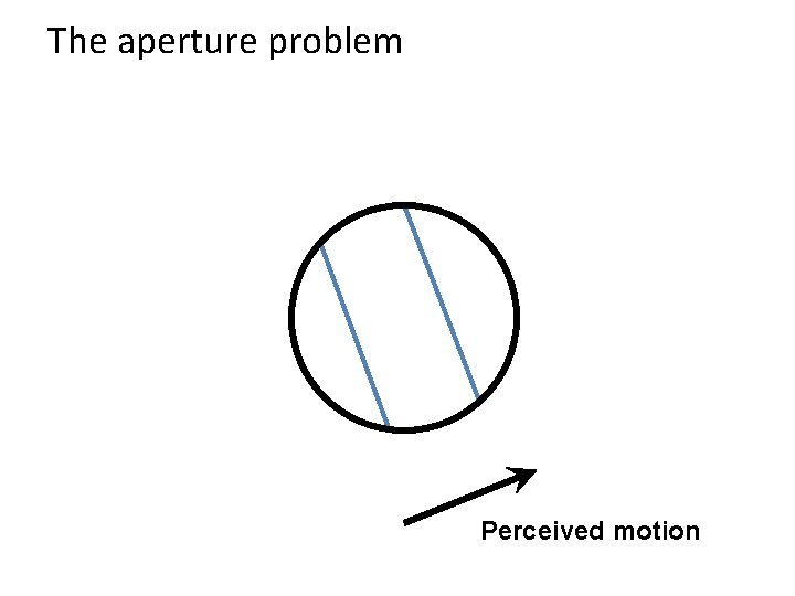 The aperture problem Perceived motion 