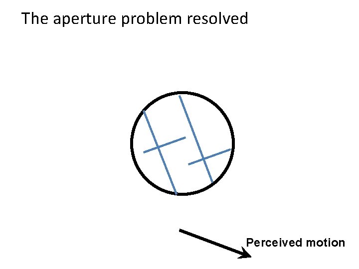 The aperture problem resolved Perceived motion 