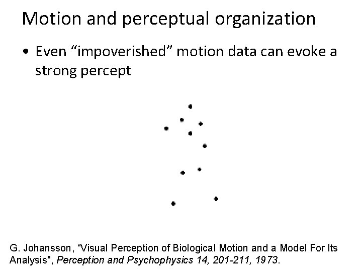 Motion and perceptual organization • Even “impoverished” motion data can evoke a strong percept