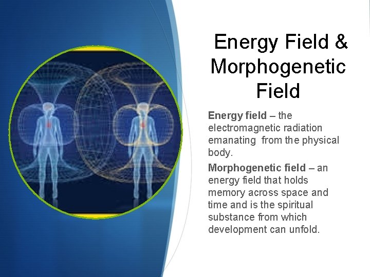 Energy Field & Morphogenetic Field Energy field – the electromagnetic radiation emanating from the