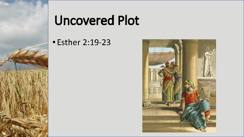 Uncovered Plot • Esther 2: 19 -23 