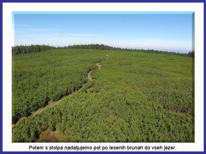 Potem s stolpa nadaljujemo pot po lesenih brunah do vseh jezer. 