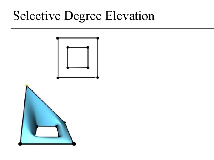 Selective Degree Elevation Selective Degree Elevation