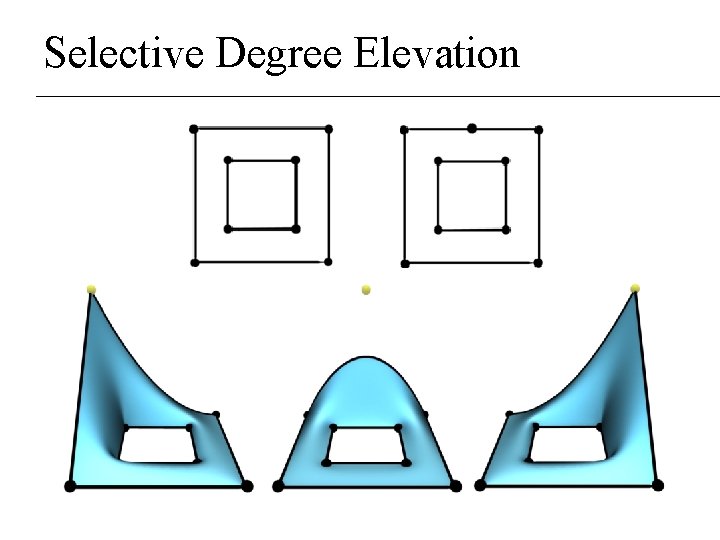 Selective Degree Elevation Selective Degree Elevation