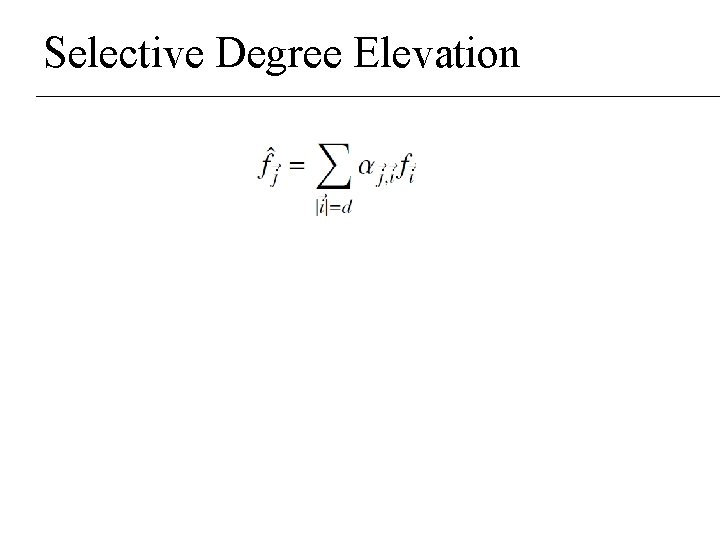 Selective Degree Elevation Selective Degree Elevation