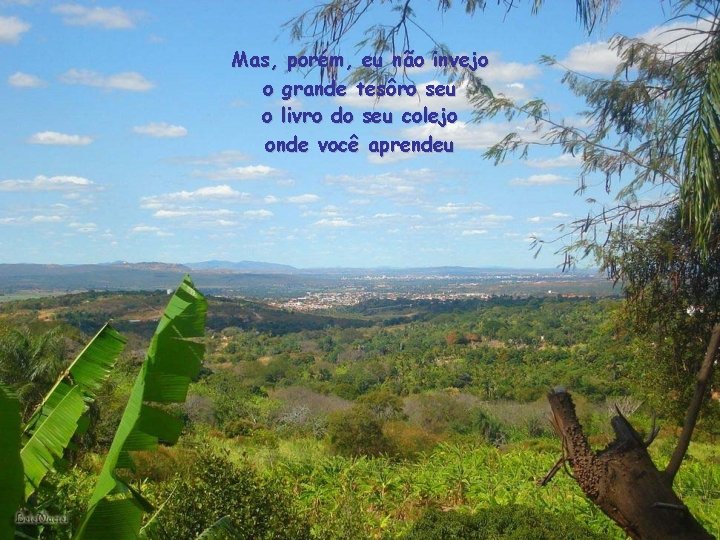 Mas, porém, eu não invejo o grande tesôro seu o livro do seu colejo