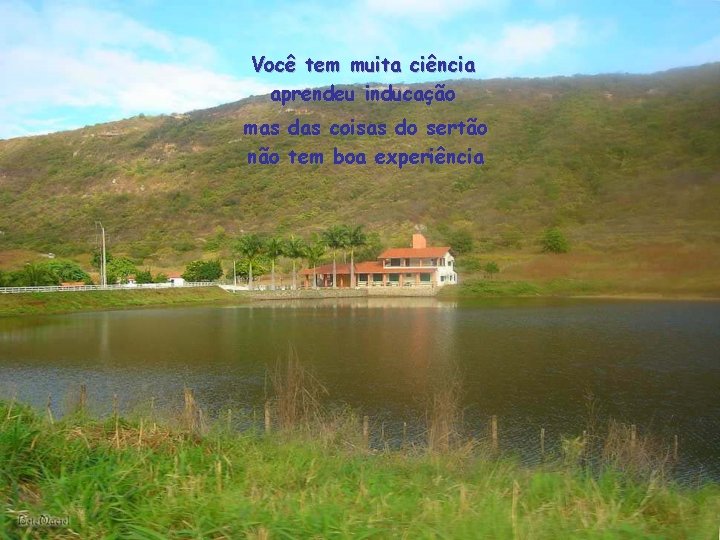 Você tem muita ciência aprendeu inducação mas das coisas do sertão não tem boa