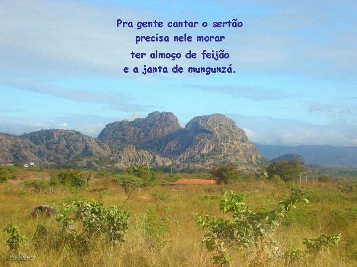 Pra gente cantar o sertão precisa nele morar ter almoço de feijão e a