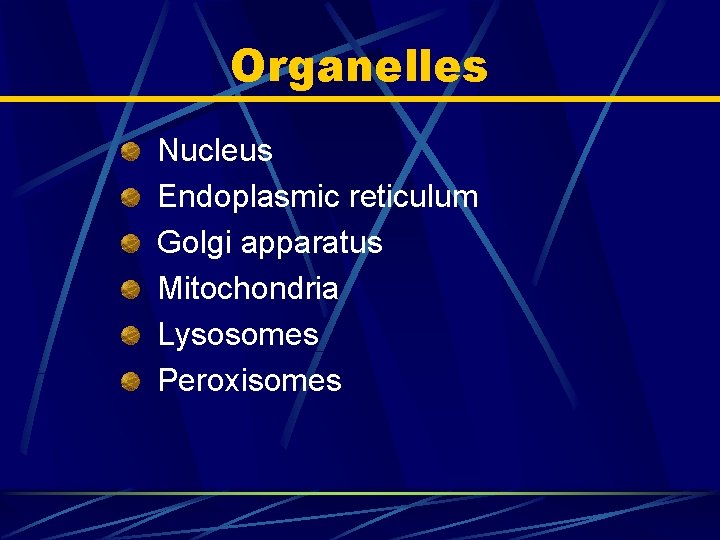Organelles Nucleus Endoplasmic reticulum Golgi apparatus Mitochondria Lysosomes Peroxisomes 