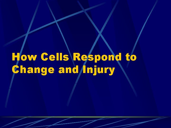 How Cells Respond to Change and Injury 