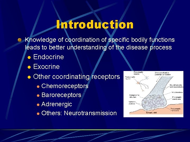 Introduction Knowledge of coordination of specific bodily functions leads to better understanding of the